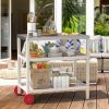 Patio Grill carts & Moveable kitchen island